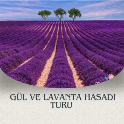 Lavanta-Gül Hasadı-Sagalassos Antik Kenti-Pamukkale Turu